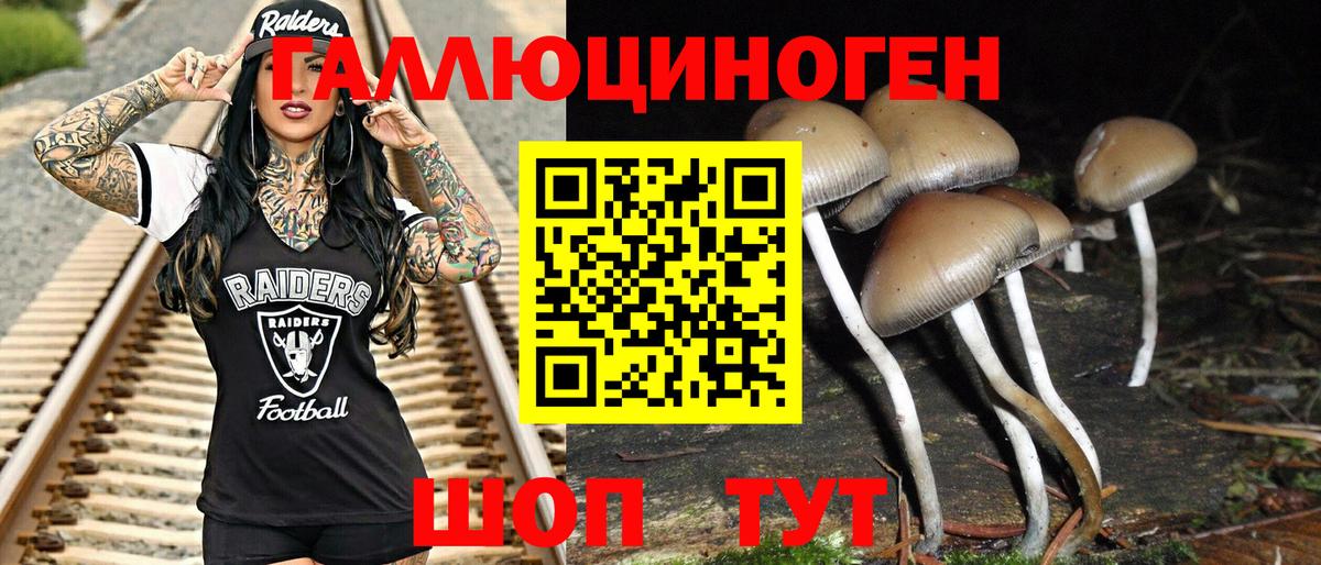 Галлюциногенные грибы ЛСД Тихвин