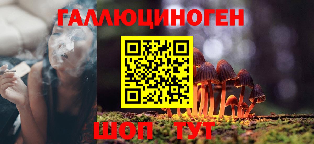 Галлюциногенные грибы MAGIC MUSHROOMS  Псилоцибиновые грибы Magic Shrooms  Тихвин  Вход с VPN 